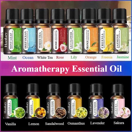 Freshify Transforme l'atmosphère