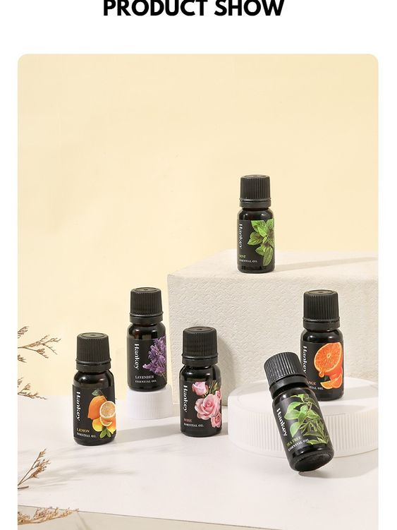 Freshify Transforme l'atmosphère